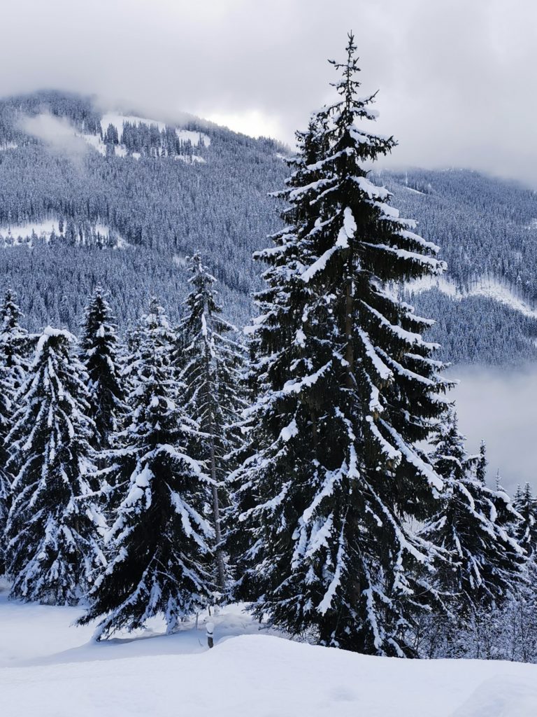 Auch das ist Winter in Tirol - Ruhe und Entspannung im Schnee fern der Piste