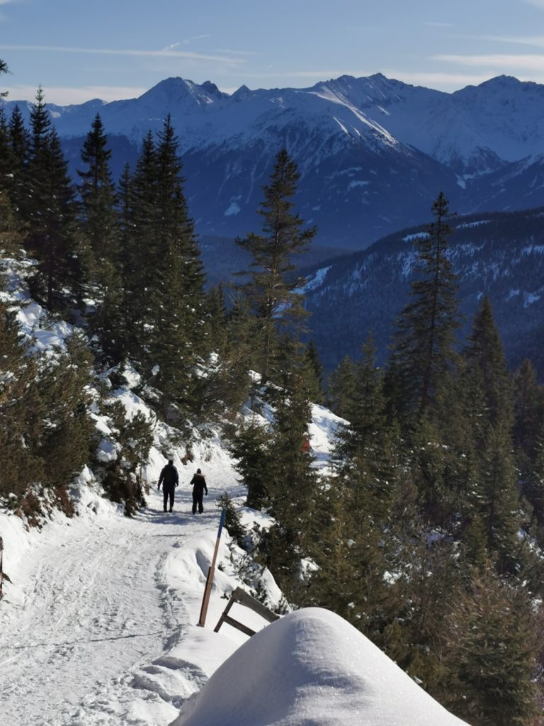 Winterwandern Bayern Schneewanderung