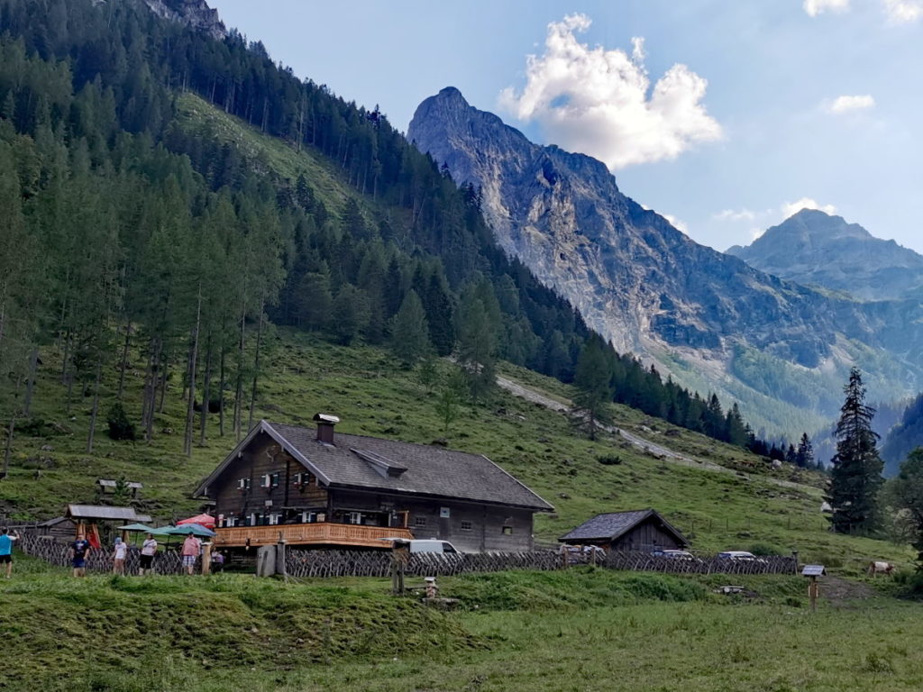 Die Marchbachalm am Talschluß - als MTB Tour ab Flachau oder als Wanderung ab Flachauwinkl