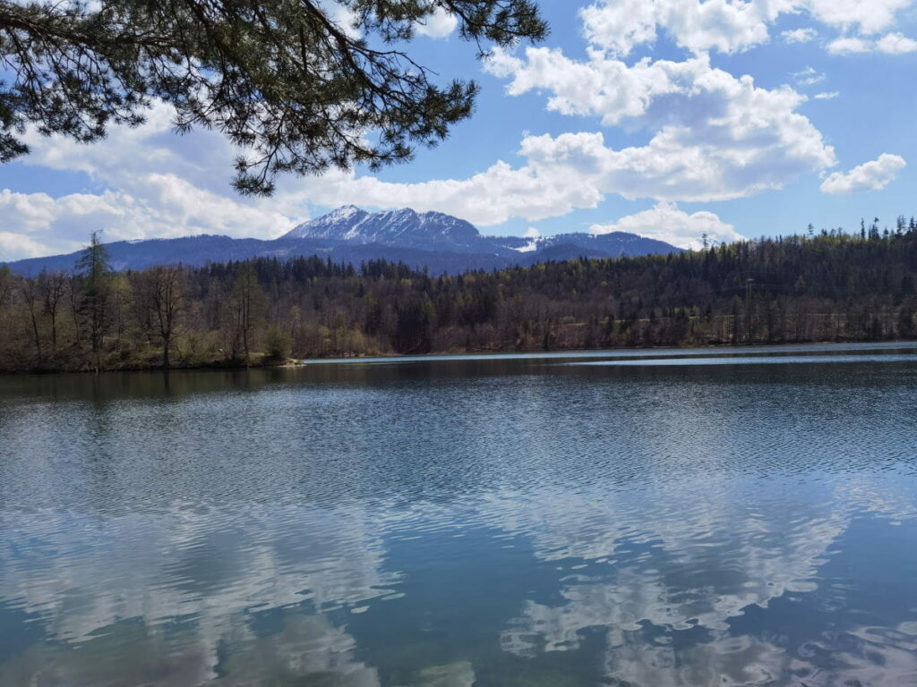 Reintalersee - leichte Frühlingswanderung einmal rund um den See in Tirol