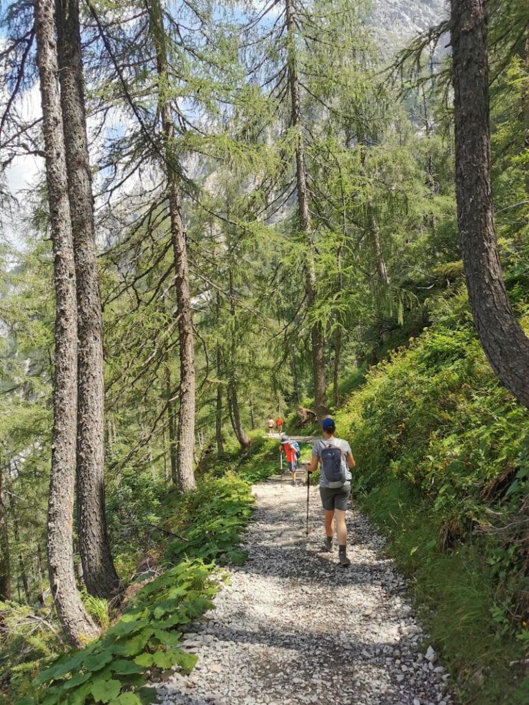 Durch den Bergwald zum Tappenkarsee wandern