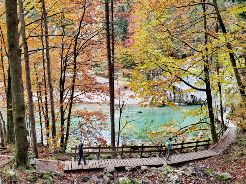 Herbstwandern durch die bunte Klamm