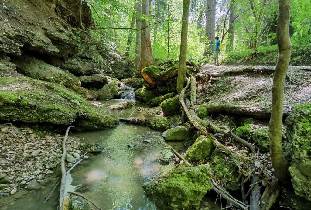 Die wildromantische Maisinger Schlucht am Starnberger See