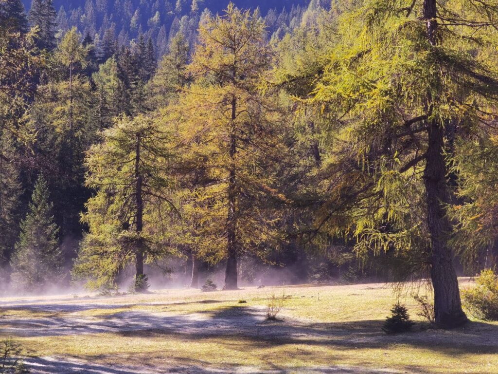 Herbstwanderung zu den goldgelben Lärchen