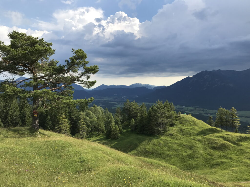 Buckelwiesen Mittenwald