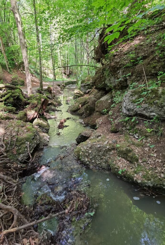 Maisinger Schlucht