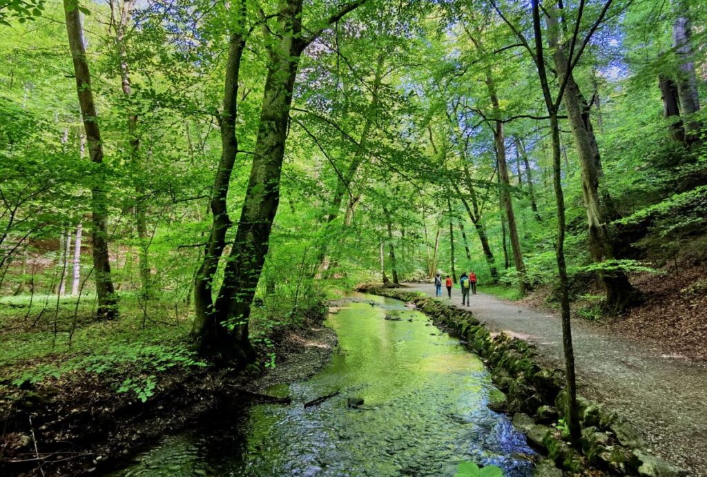 Die Maisinger Schlucht ist einer der schönen Orte in Bayern