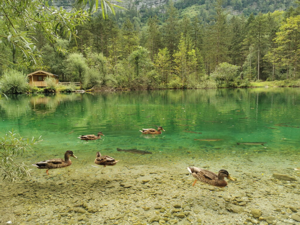 Salzburg Geheimtipps - die Bluntauseen